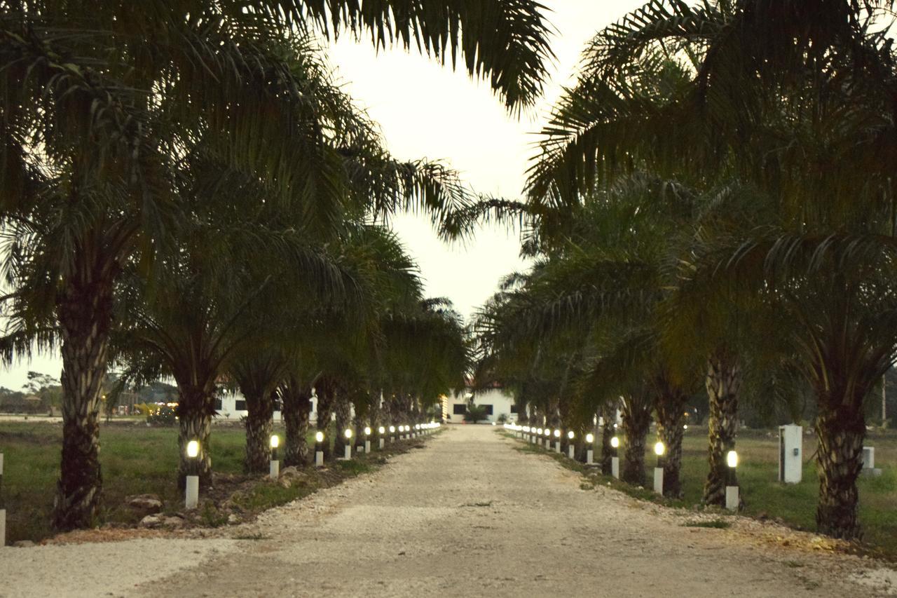 Real Primaveras Campestre Escárcega Exterior photo